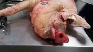 2013-01-05_17-13-58_90